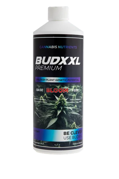 BUDXXL Bloom 1 L