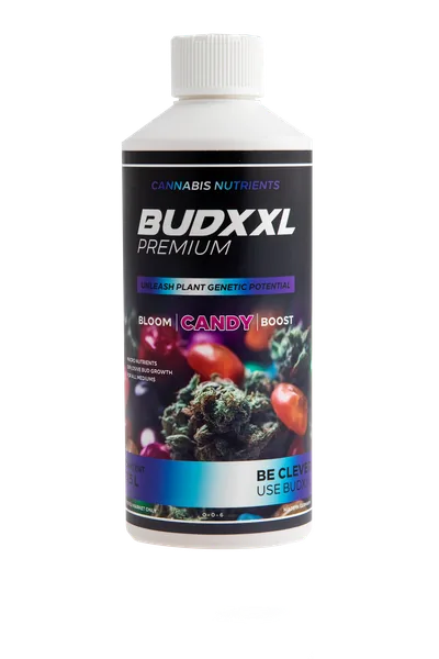 BUDXXL Candy 500 ml