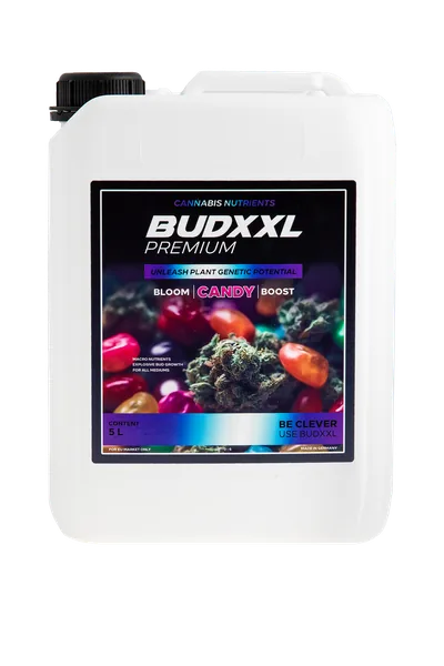 BUDXXL Candy 5 L