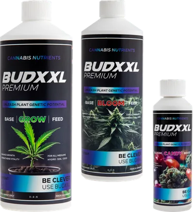 BUDXXL Starter Pack · 2,25 L