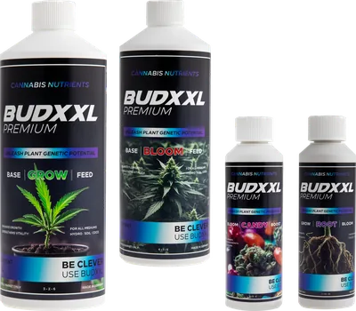 BUDXXL Starter Pack · 2,5 L