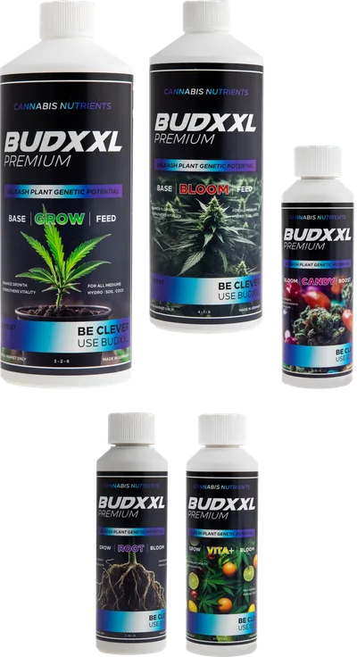 BUDXXL Starter Pack · 2,75 L