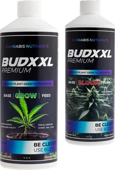 BUDXXL Starter Pack · 2 L