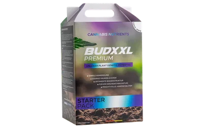 BUDXXL Starter-Set