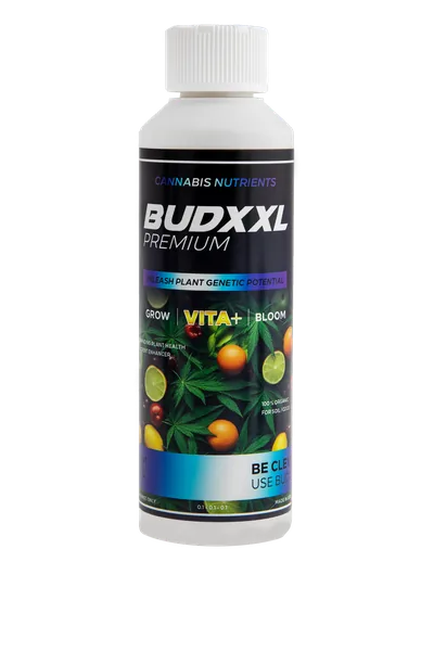 BUDXXL Vita+ 250 ml