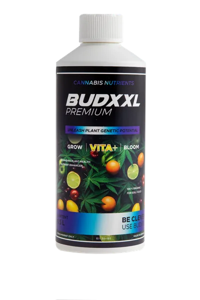 BUDXXL Vita+ 500 ml