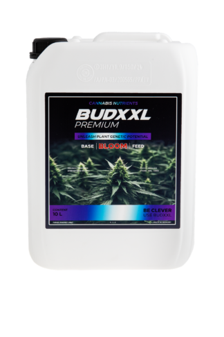 BUDXXL Bloom 10L