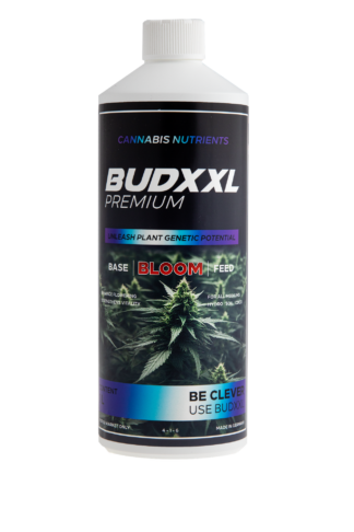BUDXXL Bloom 1L
