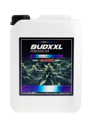 BUDXXL Bloom 5L