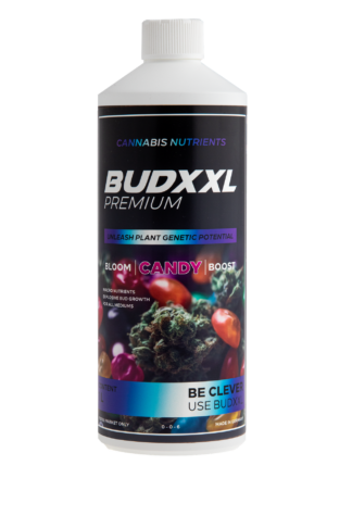 BUDXXL Candy 1L