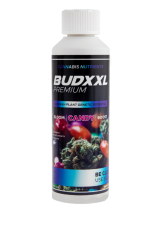 BUDXXL Candy 250ml