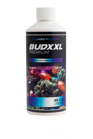 BUDXXL Candy 500ml