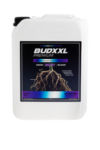 BUDXXL Root 10L