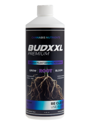 BUDXXL Root 1L