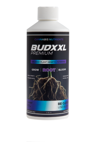 BUDXXL Root 500ml