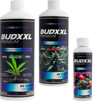BUDXXL Starter Pack 2 2.25L