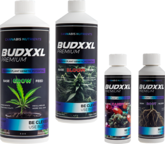 BUDXXL Starter Pack 2 2.5L