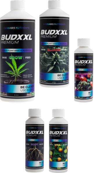 BUDXXL Starter Pack 2 2.75L