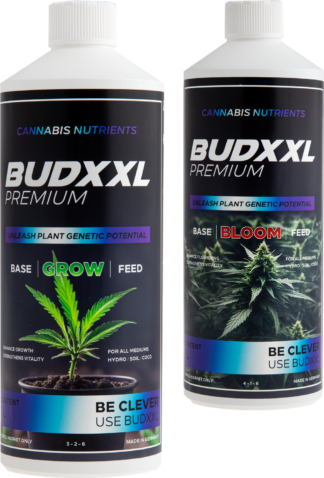 BUDXXL Starter Pack 2 2L