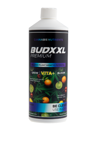 BUDXXL Vita+ 1L