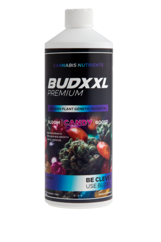BUDXXL Candy 1L