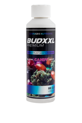 BUDXXL Candy 250ml