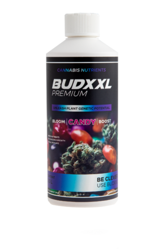 BUDXXL Candy 500ml