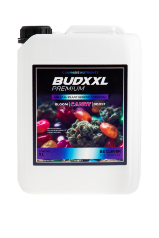 BUDXXL Candy 5L