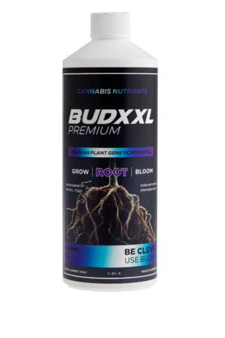 BUDXXL Root 1L