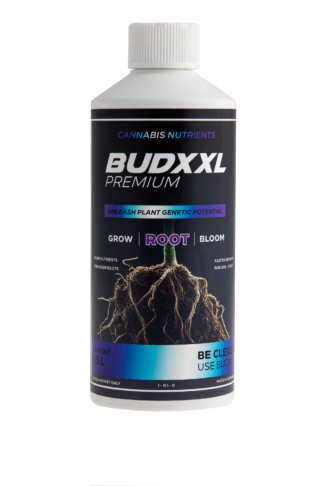 BUDXXL Root 500ml