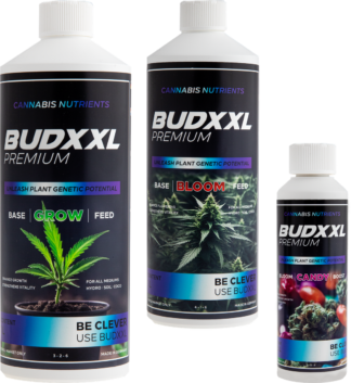 BUDXXL Starter Pack 2.25L