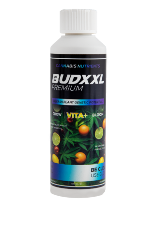 BUDXXL Vita+ 250ml