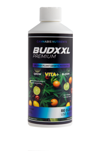 BUDXXL Vita+ 500ml